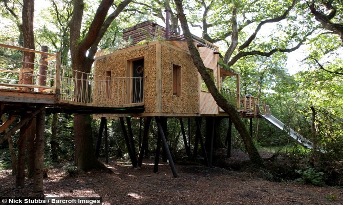 take-a-look-inside-a-tree-house