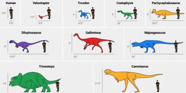 heres-how-big-the-dinosaurs-in-jurassic-park-would-be-in-real-life