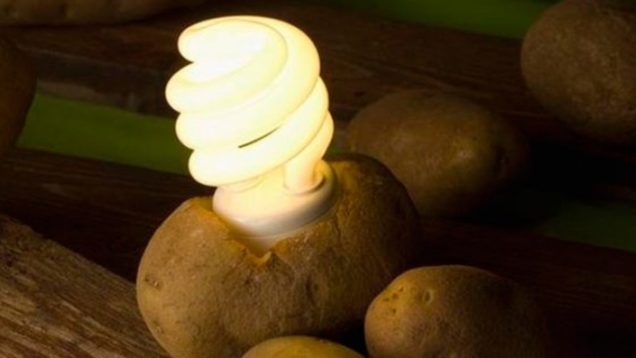 potatolight-810×424